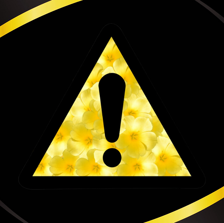 Make sure to have safety first