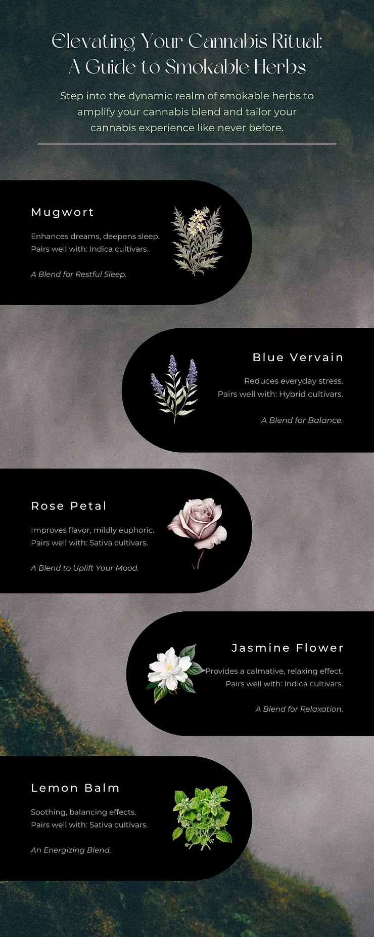 Guide to smoking herbs