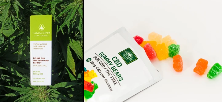 CBD Gummy Bears