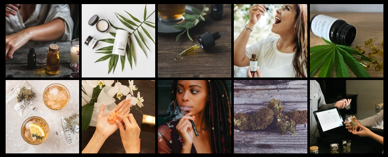 The best CBD Products