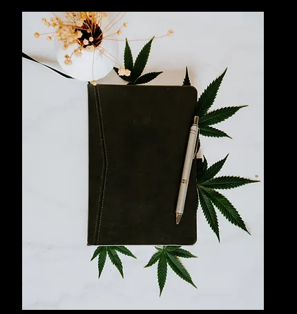 Cannabis journal