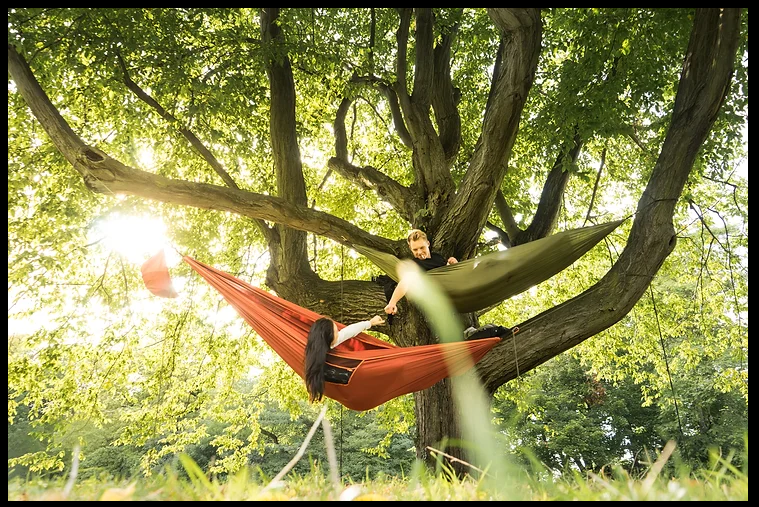 Engage with cannabis